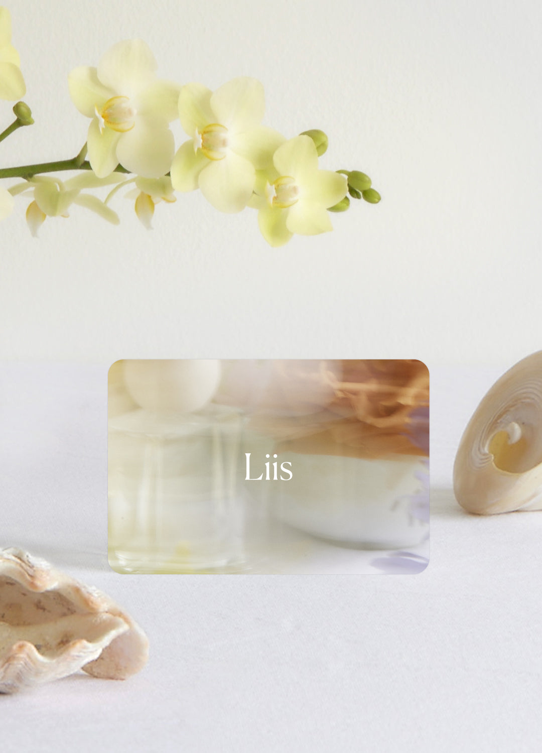 Discovery Set Gift Card